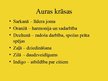 Презентация 'Aura un čakras', 7.