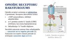 Презентация 'Opioīdu receptori', 3.