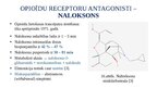 Презентация 'Opioīdu receptori', 13.