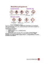 Образец документа 'Darba aizsardzības instrukcija', 9.