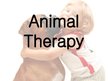 Презентация 'Animal Therapy', 1.