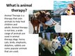 Презентация 'Animal Therapy', 2.