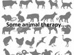 Презентация 'Animal Therapy', 5.