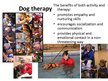 Презентация 'Animal Therapy', 8.