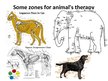 Презентация 'Animal Therapy', 9.