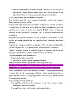 Конспект 'Krimināltiesību un kriminālprocesa jautājumu konspekts', 90.