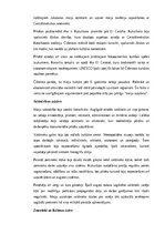 Конспект 'Maiju civilizācija: vēsture, kultūra, mitoloģija, sabiedrība un kultūras mantoju', 7.