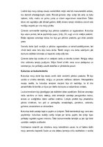 Конспект 'Maiju civilizācija: vēsture, kultūra, mitoloģija, sabiedrība un kultūras mantoju', 8.