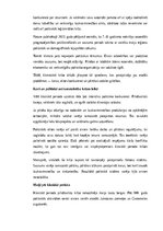 Конспект 'Maiju civilizācija: vēsture, kultūra, mitoloģija, sabiedrība un kultūras mantoju', 18.