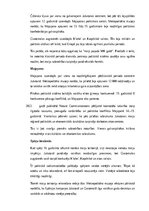 Конспект 'Maiju civilizācija: vēsture, kultūra, mitoloģija, sabiedrība un kultūras mantoju', 19.