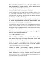 Конспект 'Maiju civilizācija: vēsture, kultūra, mitoloģija, sabiedrība un kultūras mantoju', 23.