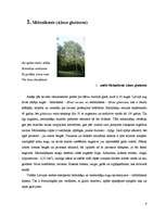 Отчёт по практике 'Melnalkšņu vecuma struktūra valsts mežos', 4.