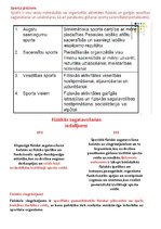 Конспект 'Sporta teorijas konspekts', 1.