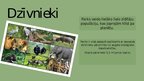 Презентация 'Serengeti Nacionālais parks', 12.