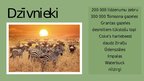 Презентация 'Serengeti Nacionālais parks', 13.