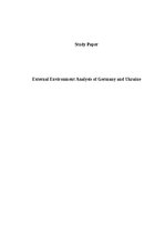 Реферат 'External Environment Analysis of Germany and Ukraine', 1.