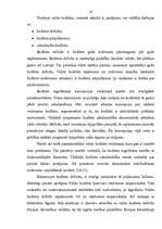 Реферат 'Latvijas 2003.gada budžeta politikas analīze', 13.