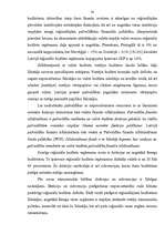 Реферат 'Latvijas 2003.gada budžeta politikas analīze', 19.