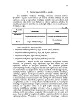 Реферат 'SIA "Florabalt" SVID analīze un attīstības stratēģijas izstrādāšana', 22.