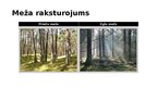 Презентация 'Ekosistēma - mežs', 4.
