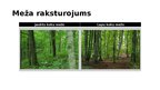 Презентация 'Ekosistēma - mežs', 5.
