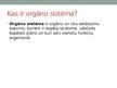 Презентация 'Orgānu sistēma', 3.