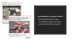 Презентация 'Viltus ziņas analīze: “Pārdaugavā dzīvniekus nogalina ar ēdienu, kurā sadurtas n', 4.