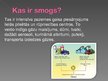 Презентация 'Smogs', 2.