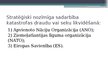 Презентация 'Katastrofas Latvijā un to seku likvidēšana', 17.