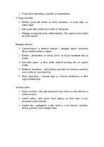 Конспект 'Scenārijs Helovīnam "Spocīgo draugu ballīte" 1 – 4 klasei / bērnudārzam', 13.