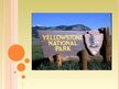 Презентация 'Yellowstone National Park', 1.