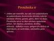 Презентация 'Pirotehnika', 2.