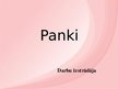 Презентация 'Panki', 1.