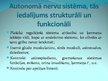Презентация 'Neirofizioloģija', 17.
