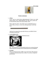 Презентация 'Termini', 1.