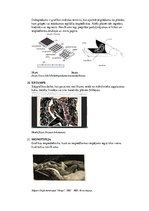 Презентация 'Termini', 8.