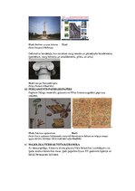 Презентация 'Termini', 17.