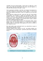 Презентация 'Mutes dobuma un zobu higiēnas nozīme jauniešu dzīvē', 6.