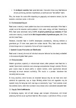 Эссе 'The Paradox of Plenty: Understanding the Causes of Global Food Waste', 2.