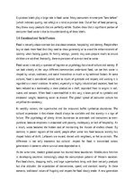 Эссе 'The Paradox of Plenty: Understanding the Causes of Global Food Waste', 4.