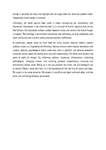 Эссе 'The Paradox of Plenty: Understanding the Causes of Global Food Waste', 10.