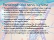 Презентация 'Veģetatīvā nervu sistēma', 13.