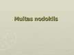Презентация 'Muitas nodoklis', 1.