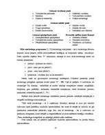 Дипломная 'Kompānijas "Henkel" darbības un konkurētspējas analīze', 20.