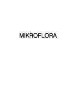 Реферат 'Mikroflora', 1.