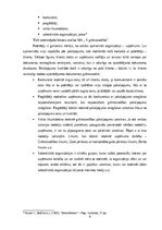 Отчёт по практике 'Profesionālās prakses pārskats', 6.