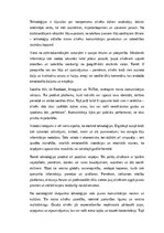 Эссе 'Digitālās realitātes valodas: tehnoloģiju ietekme uz cilvēka komunikāciju', 1.