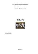 Реферат 'Karate', 1.
