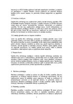 Реферат 'Mārketings un reklāma: digitālais mārketings, sociālo tīklu stratēģijas, reklāma', 7.