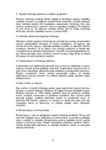 Реферат 'Mārketings un reklāma: digitālais mārketings, sociālo tīklu stratēģijas, reklāma', 11.